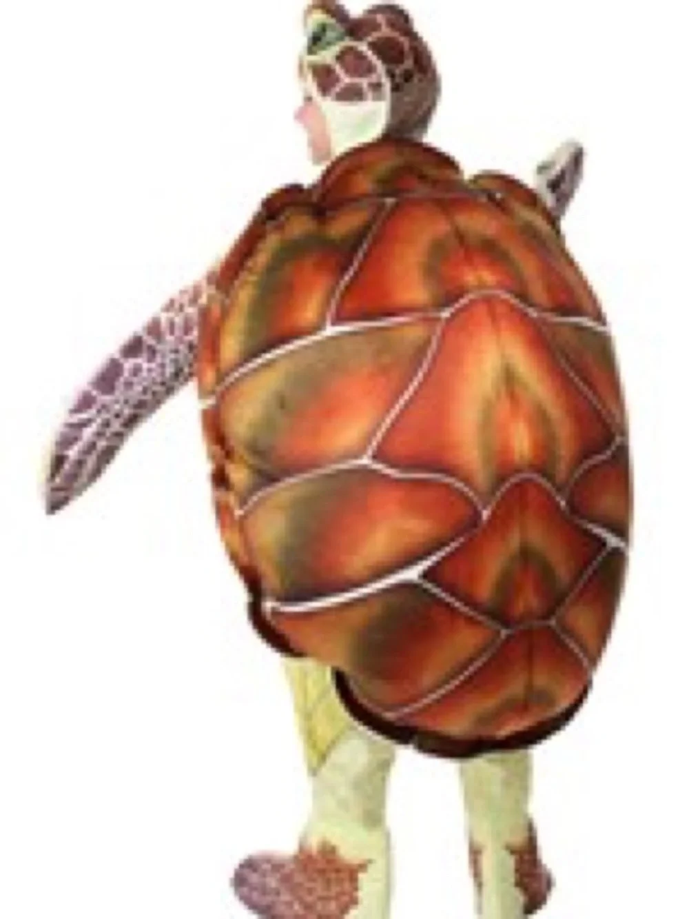 Kids Yellow Turtle Costume with Shell